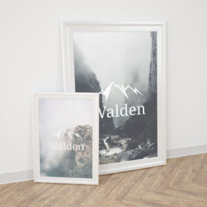 Walden Framed Poster Set